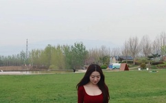 派蒙杯是什么梗